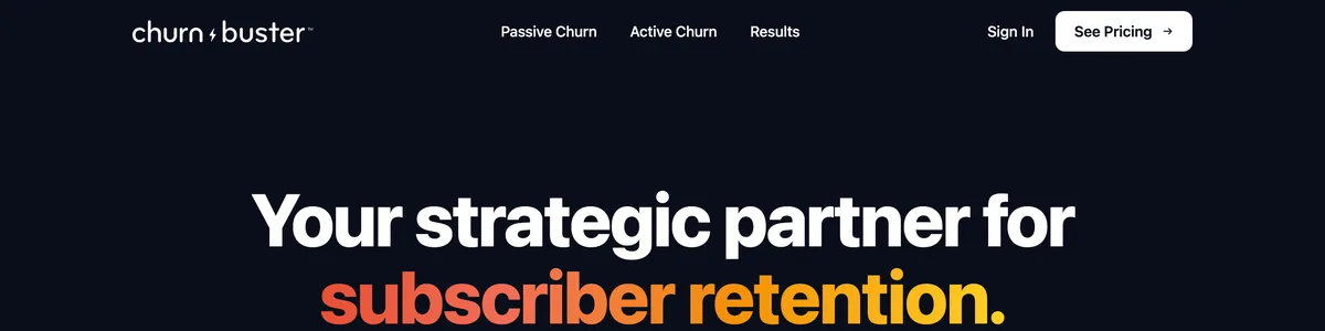 Churn Buster Alternatives for Stripe Payment Recovery